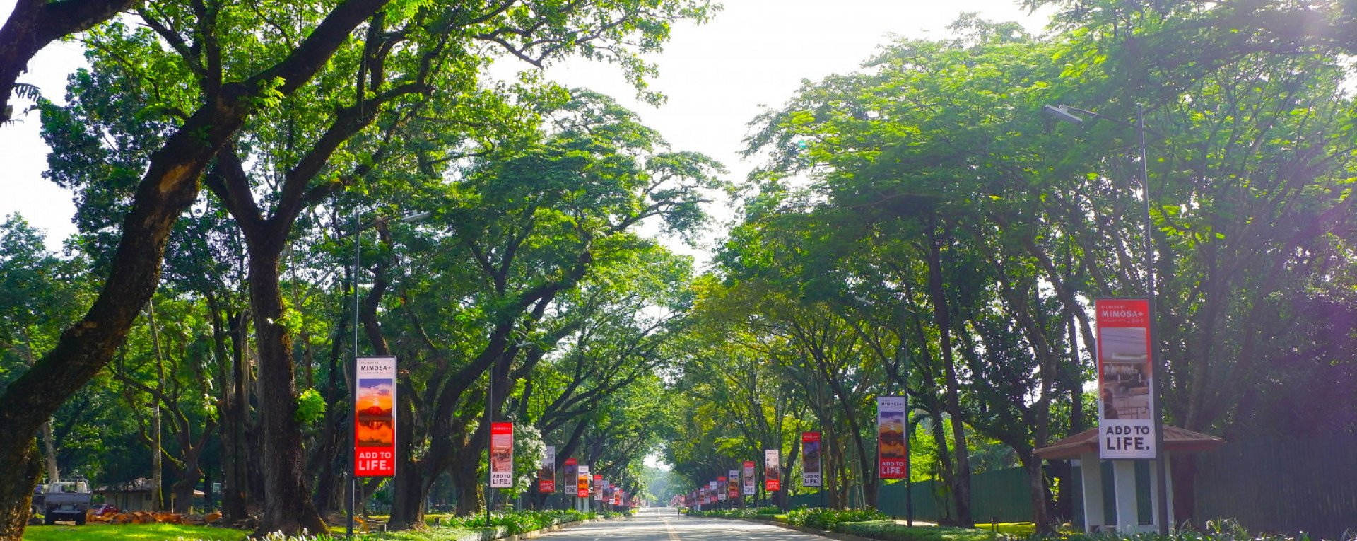 Acacia Park Edited