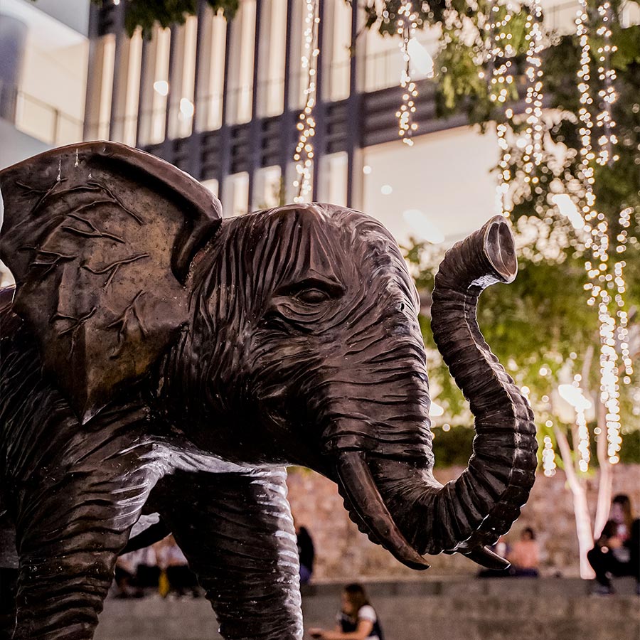 Festival-Mall-gallery-8