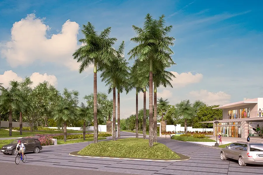 Futura Homes Palm Estates slide 1