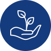 hand-plant-icon