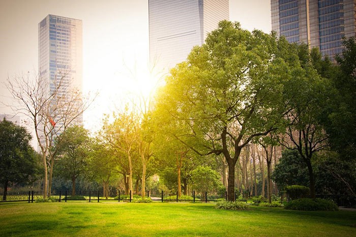 original-Aspire Blog - Reasons Why You Should Live in Pasig City v3