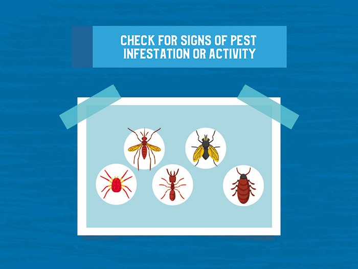 original-How-To-Properly-Inspect-A-Home-Property6a
