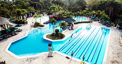 palmscc-5