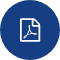 pdf-icon