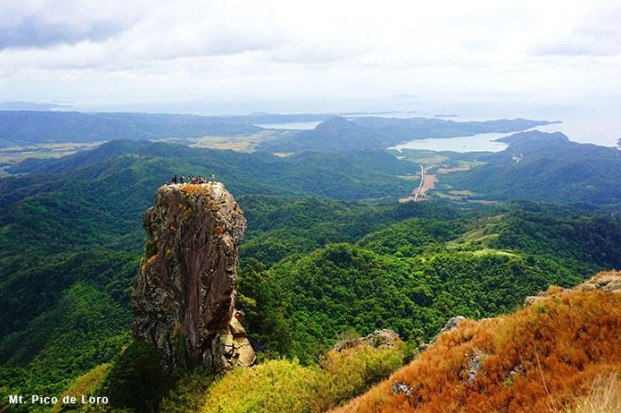pico de loro